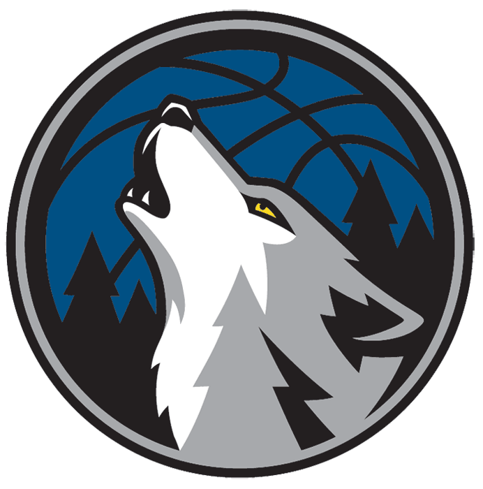 Minnesota Timberwolves 2008-2017 Alternate Logo v2 DIY iron on transfer (heat transfer)